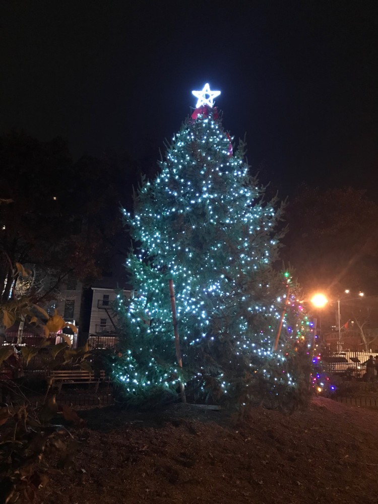 Christmas Tree Lighting 2017